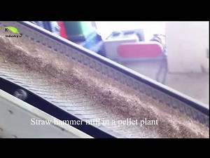 Paddy Straw hammer mill, rice straw grinder, crushing machine in straw pellet line.