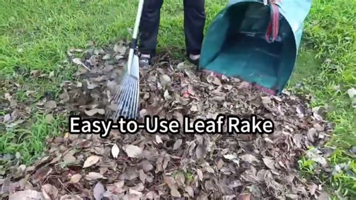 Watch Leaf Rake Set on Amazon Live