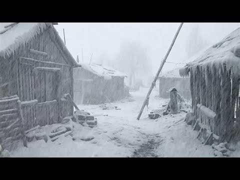 Howling Wind Sounds: Nature's ASMR for Deep Relaxation | #sleepsounds #howlingwind #snow