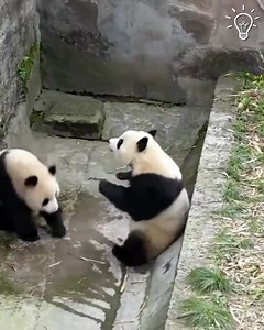 1.8K views · 14 reactions | They'll be loving their new shower set! | Old Classic Cartoons | Facebook