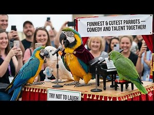 LOSE LAUGHING EMOJI 🤣: Unbelievable Parrot Opera Performances! #funny #birds