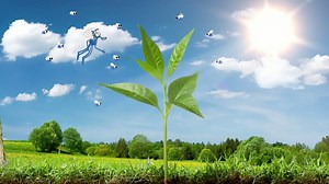 What are photosynthesis and respiration? - BBC Bitesize