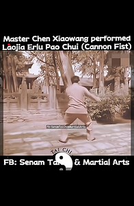 27K views · 672 reactions | Old video of young Master Chen Xiaowang performing the old Tai Chi form Cannon Fist from Chen style Taiji Quan (Laojia Erlu Pao Chui) #oldtaichischool #laojiaerlu #youngtaichimaster | Senam Tai Chi & Martial Arts | Facebook