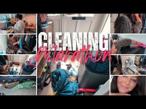 The Marathon Compilation: My Recent Favorites (All-in-One Binge!)