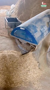 297K views · 5.3K reactions | #GOAT #animals #feed #farming | SR Goat Farm And Allied Business Ideas | Facebook