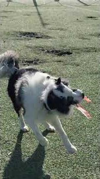 un diciembre muy divertido para ellos 26-12-25