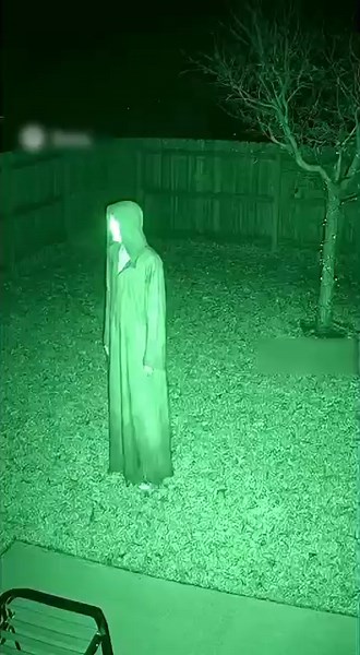 They're Falling from the Trees... And Getting Back Up.