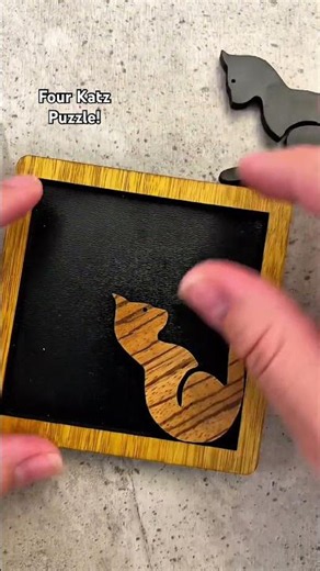 Can all 4 cats actually fit into the puzzle? #puzzle #brainteaser #satisfying