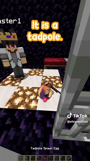 Minecraft Guess The Sound Challenge: Test Your Skills!