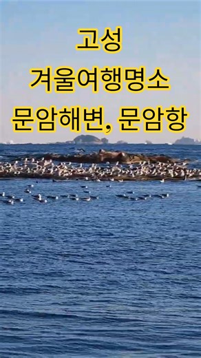 고성 겨울여행명소 문암해변, 문암항