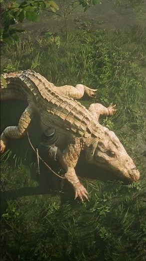 Legendary Alligator Location (Bull Gator) - Red Dead Redemption 2