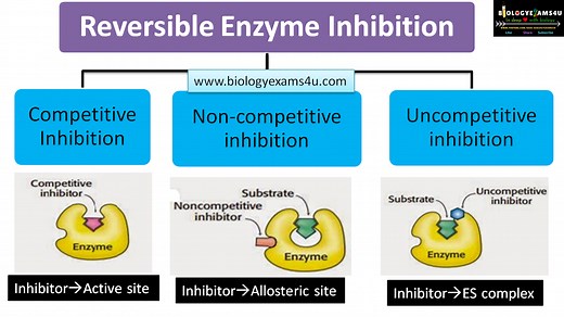 Reversible Enzyme Inhibition: Competitive,  Non Competitive and  Uncompetitive Inhibition  with examples