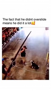 Watch this collie slide into fun with their owner! 🙈🐶😂 Via @netflixnmovies | Dan's Pet Care