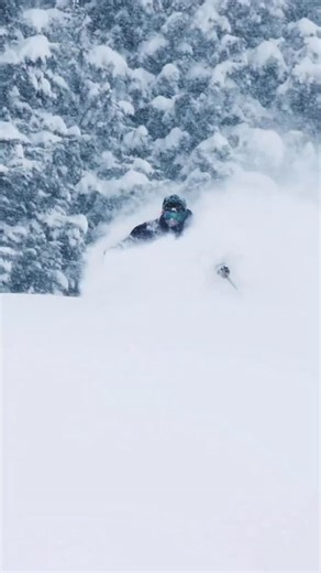 1.5K views | Z-5 3L Hybrid Shell Jacket built for freeride and resort...