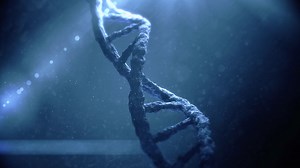 GENE SEQUENCING | Mapping DNA