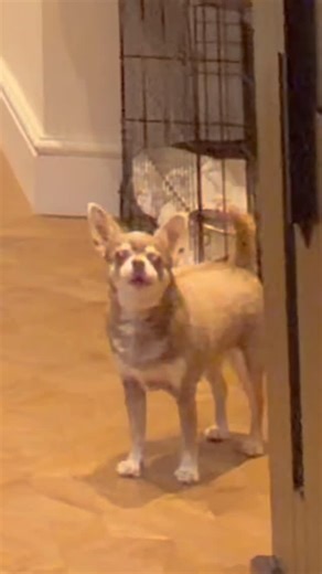 Jordan Banjo on Instagram: "Elmo’s always ready to go man😂🙌🏾"