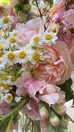 35K views · 6.1K reactions | The birds singing happily in the back ground ✨ | Garden Answer | Facebook