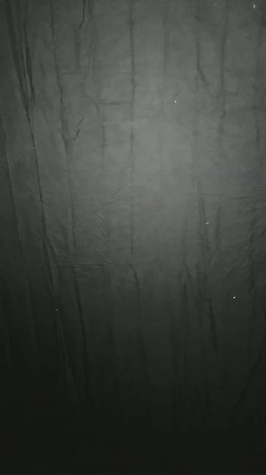 This would make the greatest vampire intro ever xD #foryou #funny #vampire