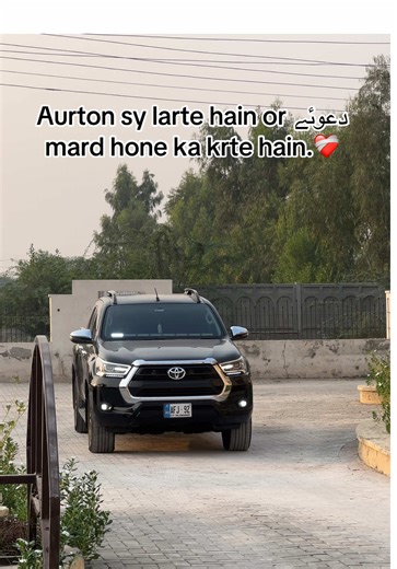 Understanding Gender Dynamics in Society