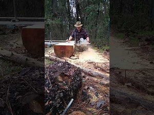 Neotec 48" chainsaw mill.