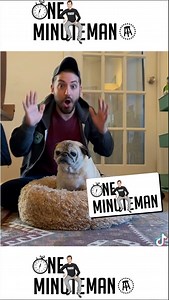 5.3K views · 75 reactions | Noodle the 13 year old pug with the bones or no bones daily update is the best thing going on TikTok @c4energy | KFC Radio | Facebook