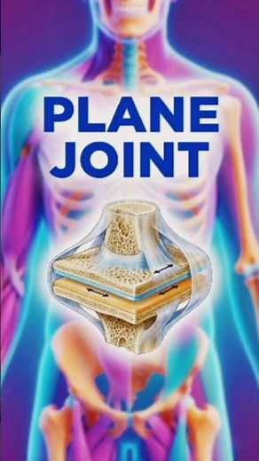 Plane (Gliding) Joint Explained | Anatomy