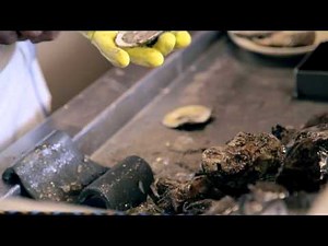 Shucking Oysters with Uptown T