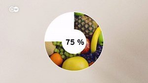 A plant's best friend — the importance of pollinators