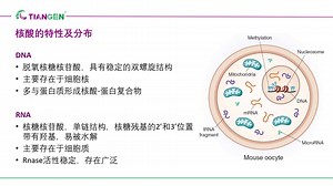 要点全掌握，新手也能提取完美核酸