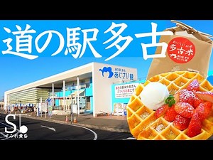 おすすめ名物グルメお土産いろいろ【道の駅 多古 あじさい館 千葉 関東】