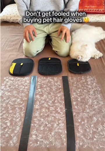 The Best Pet Hair Removal Gloves: What You Need to Know