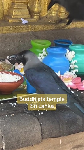 Exploring the Stunning Buddhist Temple in Colombo