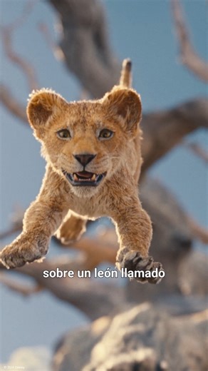 ¿Estás preparado para conocer el origen del verdadero rey? 🧡 #Mufasa: El Rey Léon. La nueva película de Disney, solo en cines. | Walt Disney Studios