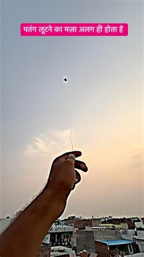 Kite looting video #kitevideo #kite #kiteground #kiteflying #love #dillikiteclub