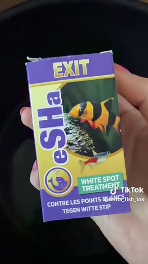 Salt Bath for Betta Fish: A Care Routine