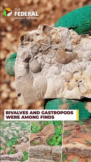 12,000-year-old marine fossils unearthed in Tamil Nadu | #shorts