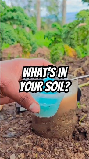 Stop Wasting Fertilizer! Free Soil Test #gardenhacks