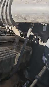 a tour of the local junkyard look for the log video