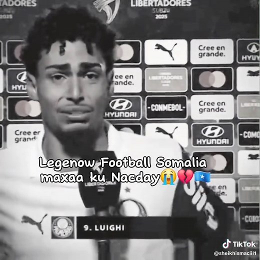 2019 UEFA Champions League Final Highlights