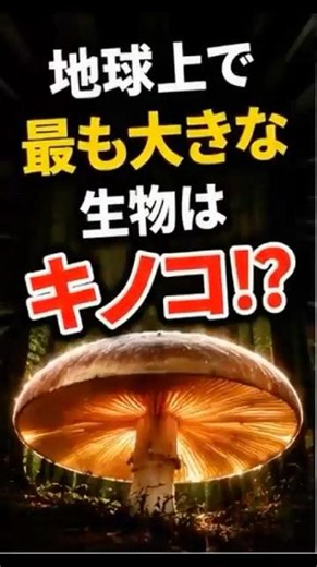 地球上で最も大きな生物って何だと思いますか？ #知らなかった #雑学 #プチ知識 #1分雑学#shorts