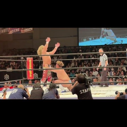 【#ddt 】#棚橋弘至 #男色ディーノ にタイツをズリ下げTバックを晒されるも筋肉ポーズ #ddtpro【#プロレス】