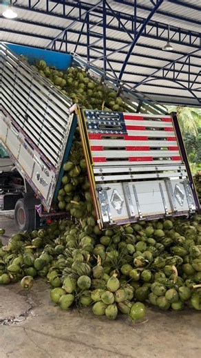 Thailand's Best Coconut Export Factory - Fruit Cutting Skills - Thai Street Food Location : ล้งมะพร้าวเฮียกี่ Facebook : ล้งมะพร้าวเฮียกี่-ซ้อหมวย ผู้ใหญ่กบ #streetfood #coconut #fruit | Foodie Mama Office