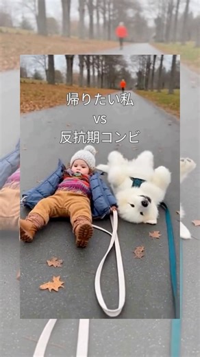 ダブルいやいや期、発生 #もふもふ#イヤイヤ#共犯#帰りたくない