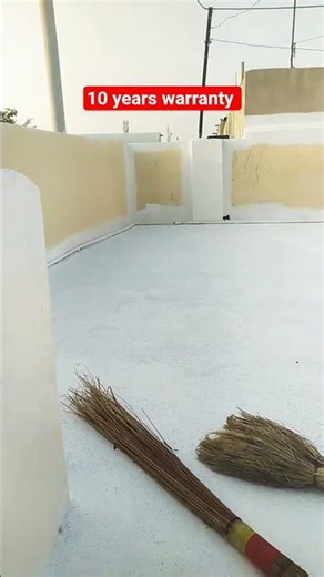 smartcare damp proof advanced #homedecor #painting #shorts