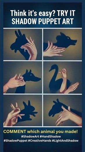 How to make Hand 🖐Shadow puppets art #shadow #hand #puppets #artchallen #ShadowArt #Challenge#Light