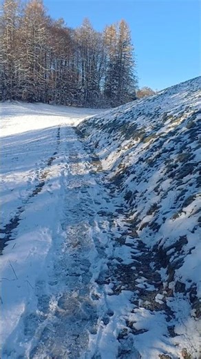 walk in icy landscape