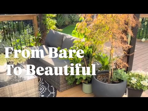 🌱 “Top 5 Shrubs for Low-Maintenance Gardens (Perfect for Beginners!)”