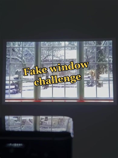 Experience the Fake Window Challenge at Home with a Projector