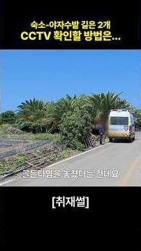 숙소-야자수밭 길은 2개 CCTV 확인할 방법은... #채널A #short #취재썰