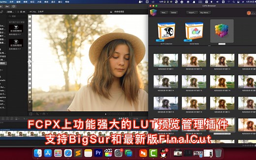 FCPX上功能强大的LUT预览管理插件，支持BigSur和最新版FinalCut